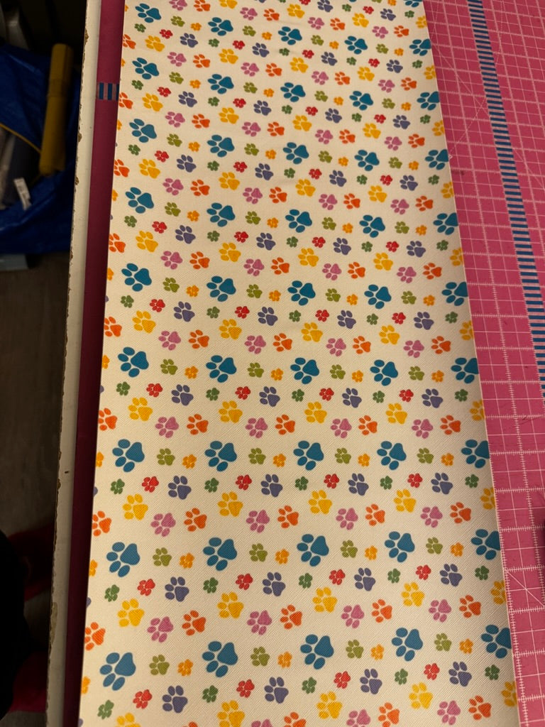 Rainbow Paw Print Vinyl (10”)